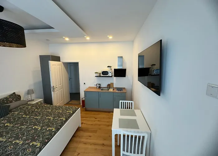 Boutique Hotel Pension Luisengrün Küche 1Gbs WLAN Netflix Disney MagentaTV